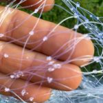 Drawstring Cast Net CHAIN BOTTOM - Elite series